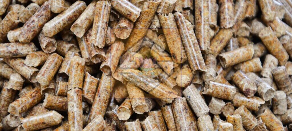 Most Preferred Biomass Pellet Mill of PelletIndia.com by the Indian Biomass Market: