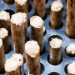 What are the key temperature phases during biomass pellet production in a Ring Die Pellet Mill?