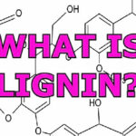 How does lignin’s role as a natural binder enhance the durability, energy efficiency, and overall performance of biomass pellets in industries such as power plants, boilers, and others?
