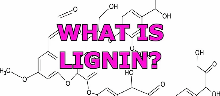 How does lignin’s role as a natural binder enhance the durability, energy efficiency, and overall performance of biomass pellets in industries such as power plants, boilers, and others?