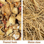 Which crop residues, such as Rice Straw, Wheat Straw, Bagasse, Maize Stalks, Cotton Stalks, Groundnut Shells, Soybean Stalks, Mustard Stalks, Sorghum Stalks, and Barley Straw, are commonly used for biomass pellet production in India?