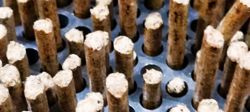 High-Performance Biomass Pellet Mills for Efficient Production