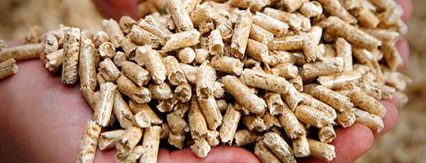 We can supply Wood Biomass Pellet Mill to every state and city across India, ensuring seamless availability and support for industrial, commercial, and residential pellet production needs.