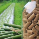 ❓ What is the potential of bamboo cultivation in India for pellet and chip production?
