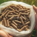 ð± What is the ideal altitude & temperature for growing Napier Grass? ð¿