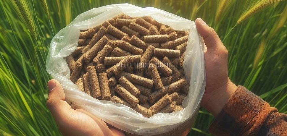 ð± What is the ideal altitude & temperature for growing Napier Grass? ð¿