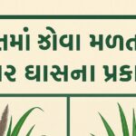 ભારતના લોકપ્રિય નેપિયર ઘાસ પ્રકારો અને ફાર્મ વેચાણ ભાવ, પ્રોસેસિંગ ખર્ચ અને તૈયાર ઉત્પાદનોના વેચાણભાવ