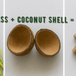 ð¿ Can You Make High-Efficiency Biomass Pellets Using Just Napier Grass and Coconut Shell?