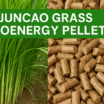 ð¿ Juncao Grass Cultivation in India: A Sustainable Solution for Fodder, Mushroom Farming, and Bioenergy