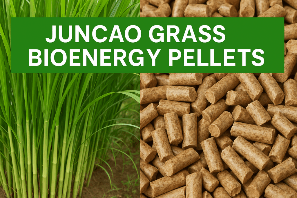 ð¿ Juncao Grass Cultivation in India: A Sustainable Solution for Fodder, Mushroom Farming, and Bioenergy