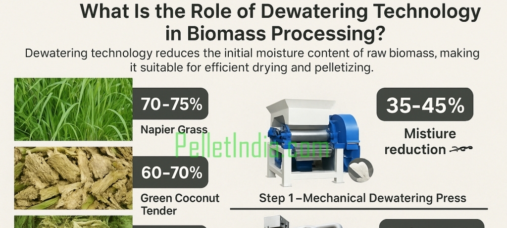 ♻️ What Is the Role of Dewatering Technology in Biomass Processing?