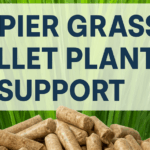 Can I get support for Napier Grass-based pellet plants in Gujarat or Maharashtra? What are the schemes available?