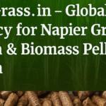 ð¿ NapierGrass.in — Global Consultancy for Napier Grass Cultivation & Biomass Pellet Production