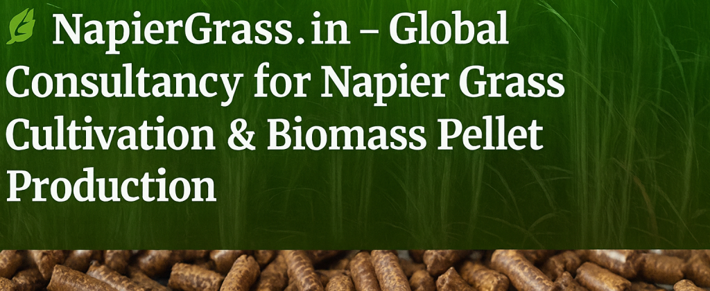 ð¿ NapierGrass.in — Global Consultancy for Napier Grass Cultivation & Biomass Pellet Production