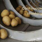 Γ°ΒΒ₯Β Continuous Groundnuts Washing Machine (1 TPH β 5 TPH)