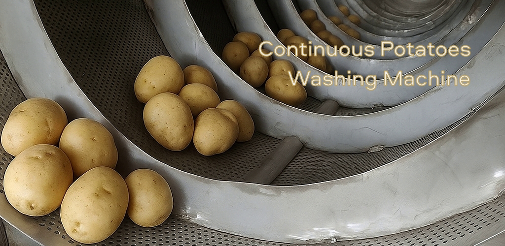 ð¥ Continuous Groundnuts Washing Machine (1 TPH – 5 TPH)